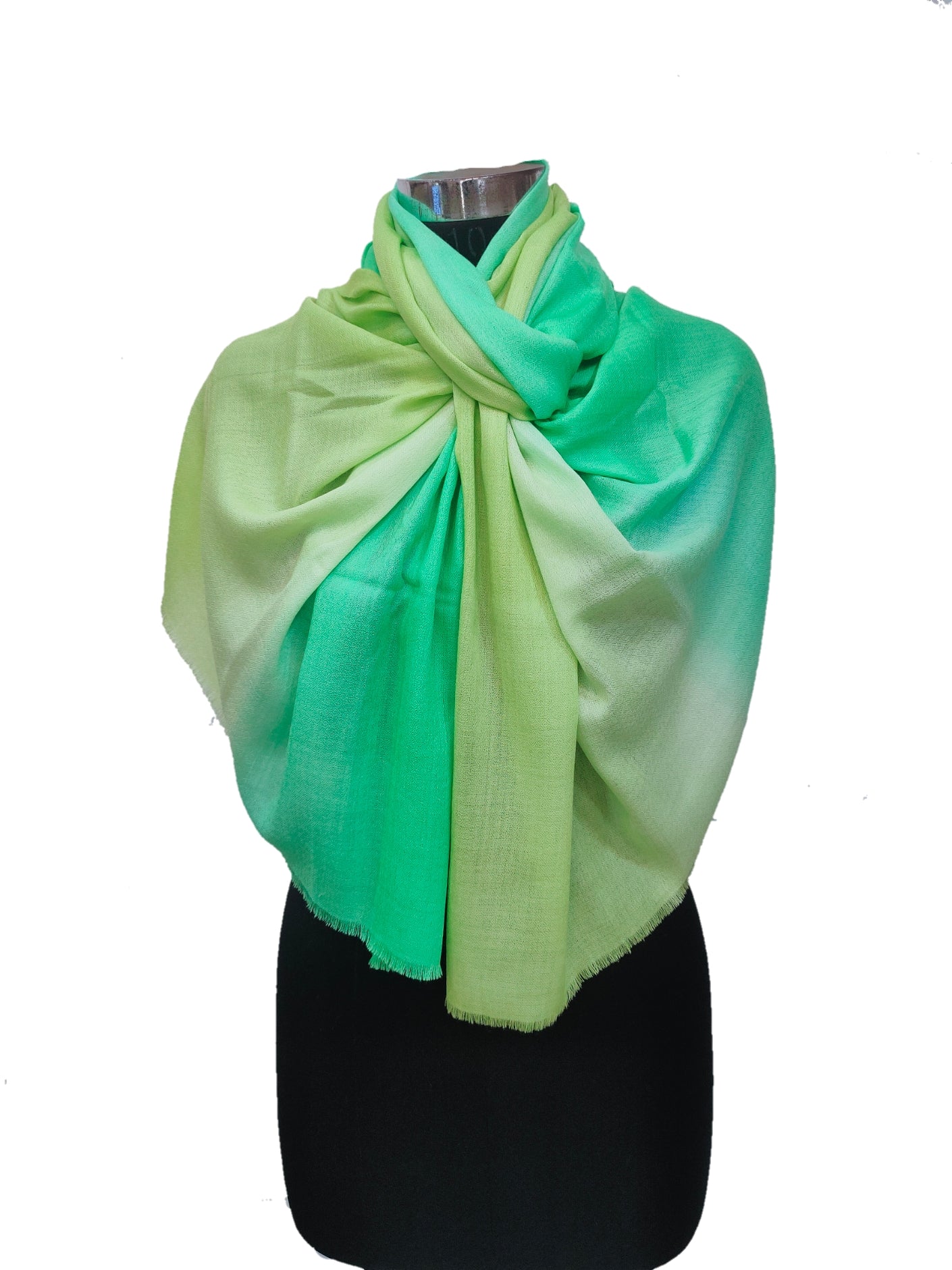 Cashmere Ombre Stole.