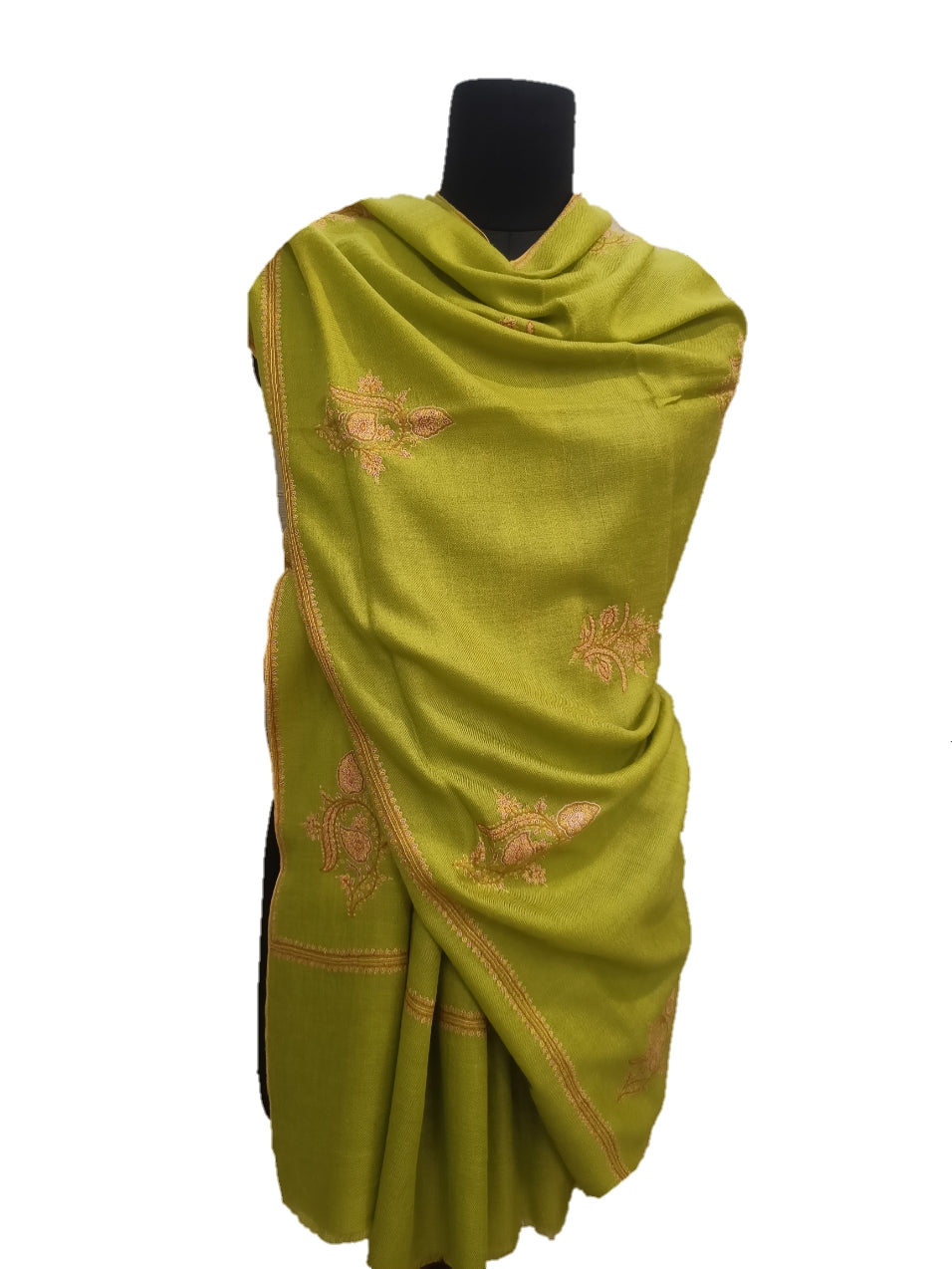 Pure Pashmina Embroidered border Shawl.