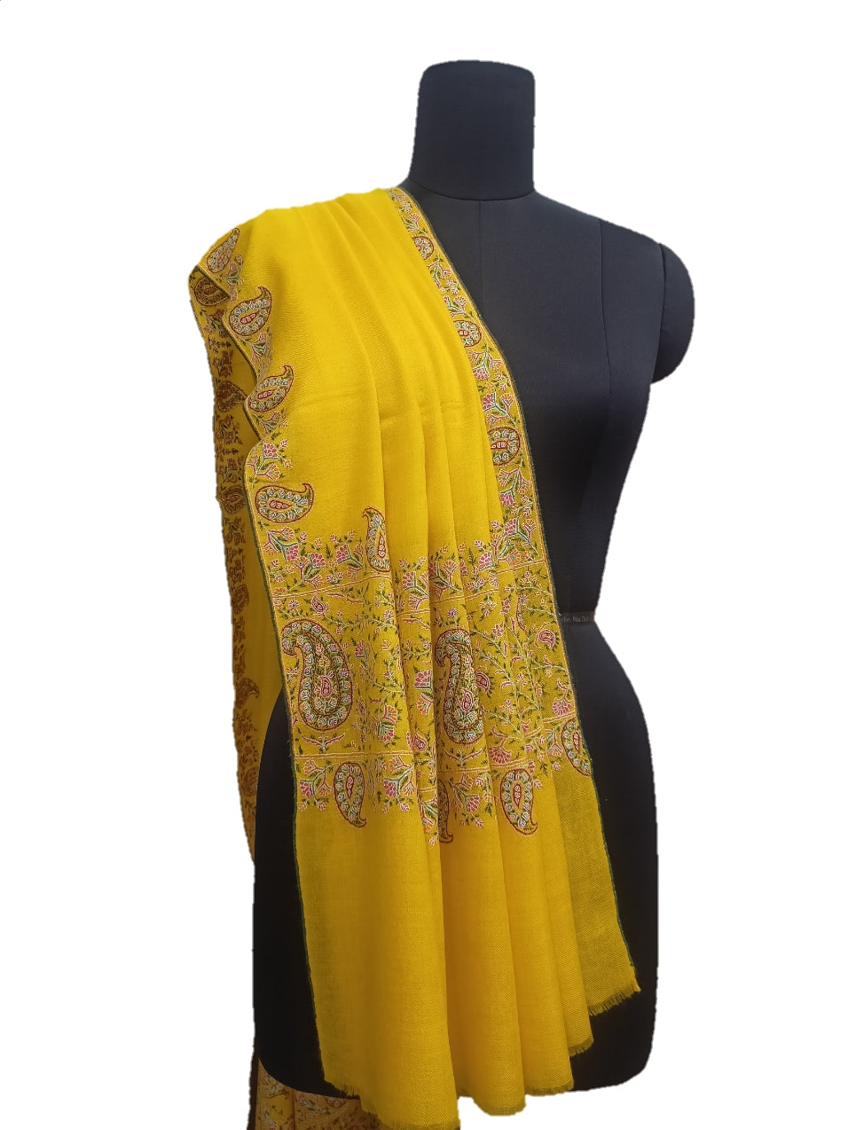 Pure Pashmina Embroidered border Shawl.